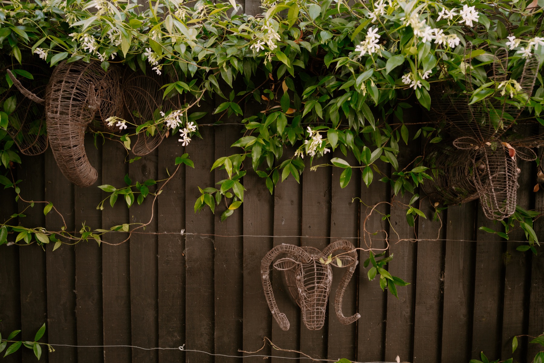 A landscaped garden zone