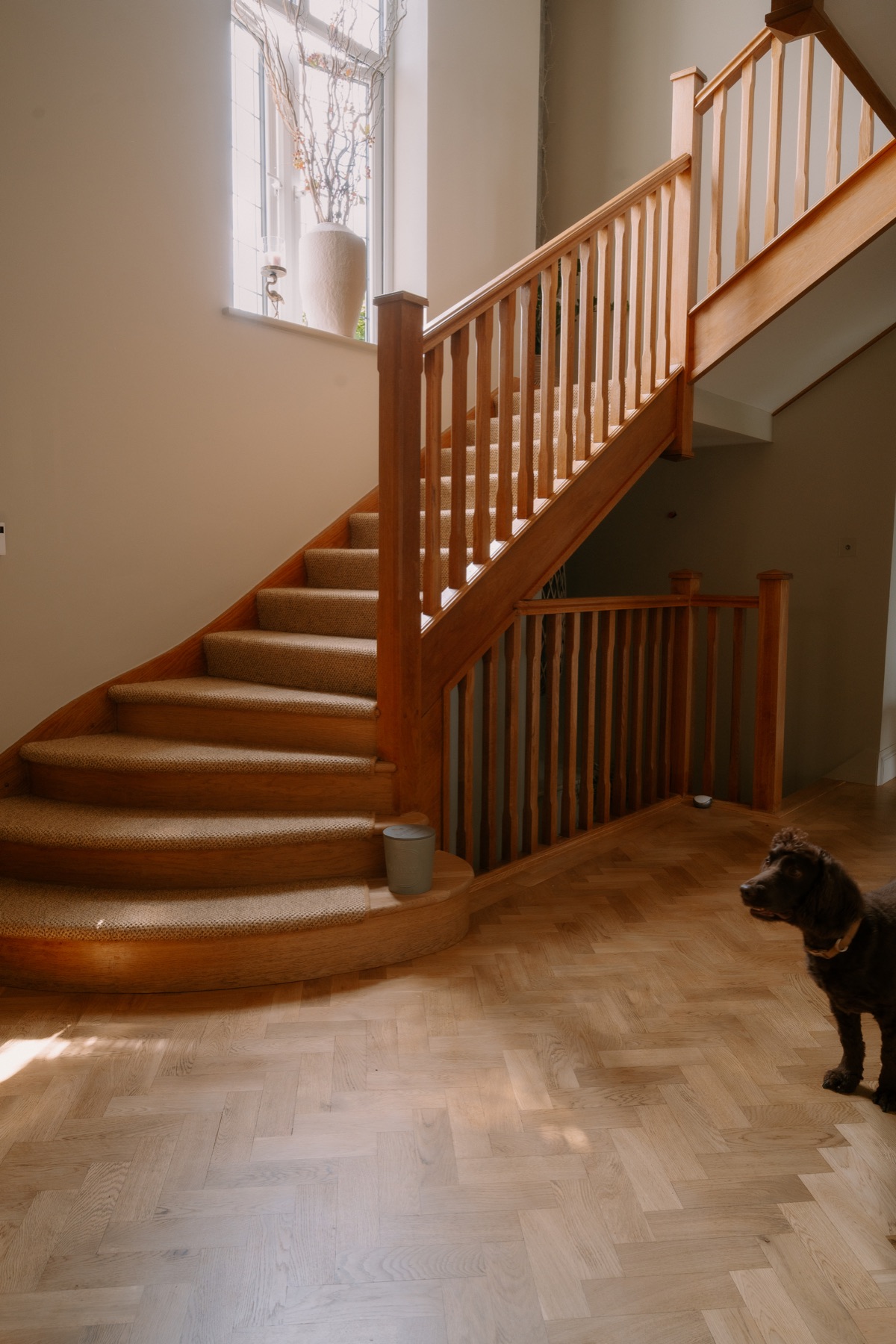 Myrtleberry spaniel beside the staircase