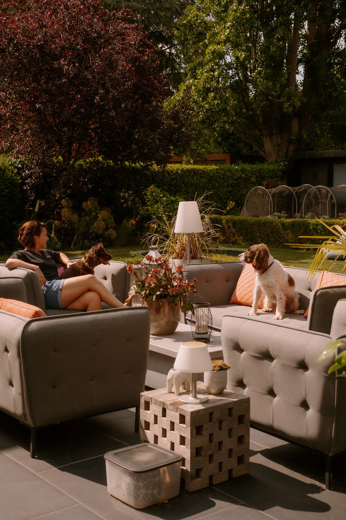 An outdoor gathering in the garden